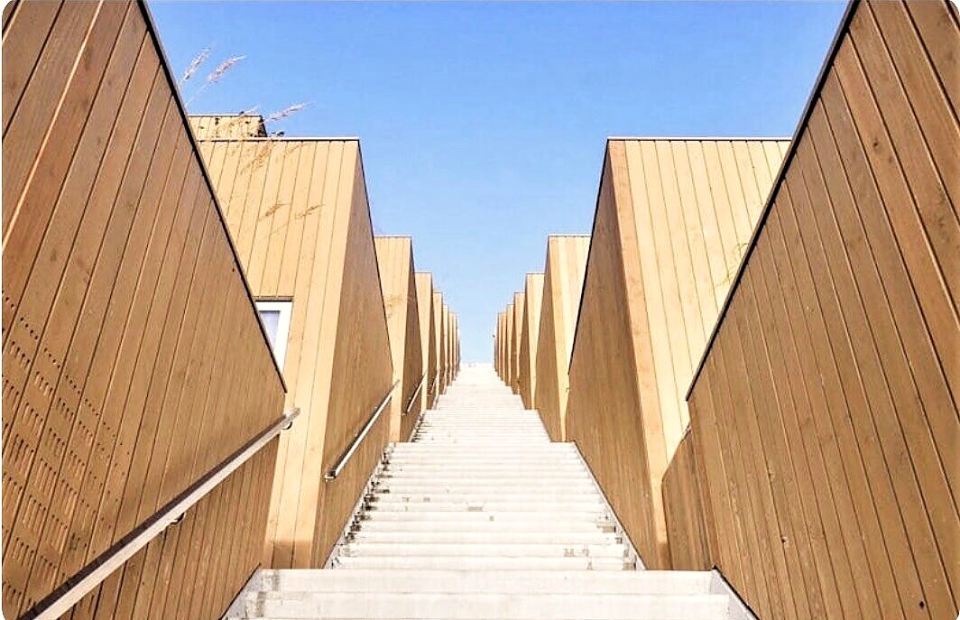 Timber facades on both sides of a long concrete stair leading to the rooftop
