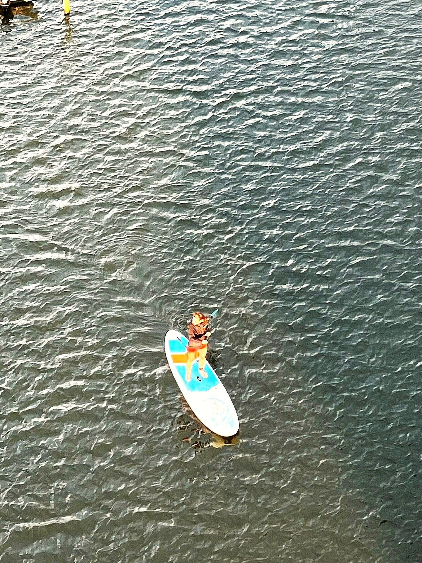 Paddleboarder crossing the water toward the beach